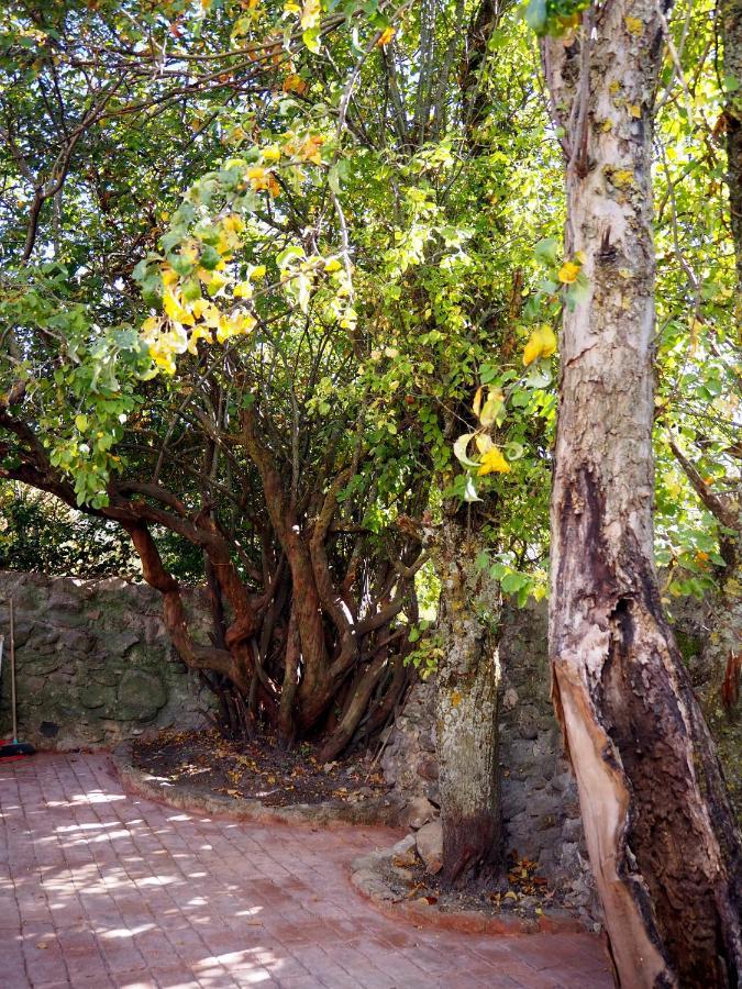 La Casa De Los Abuelos Valentin Pinilla del Valle Екстер'єр фото